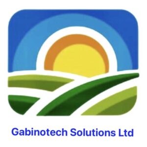 Gabino_Tech_Solutions_Ltd